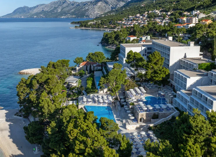 Tylko drzewa sosnowe oddzielają hotel od Adriatyku