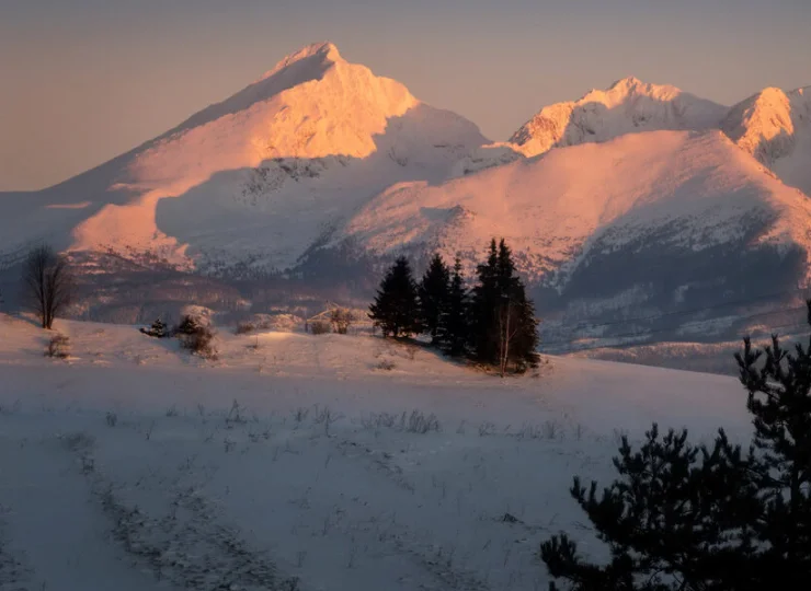 Krywań zimą o zachodzie słońca