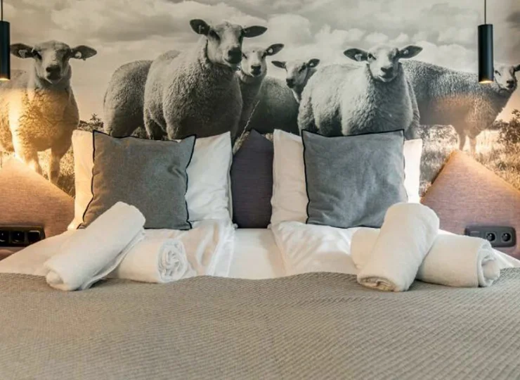 W apartamencie znajduję się TV z płaskim ekranem, pralka oraz sejf