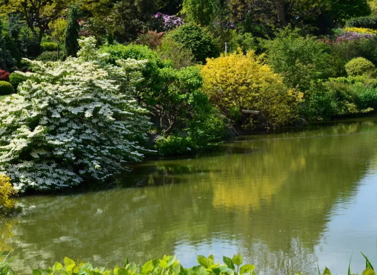 Arboretum w Wojsławicach to pełne malowniczych zakątków miejsce