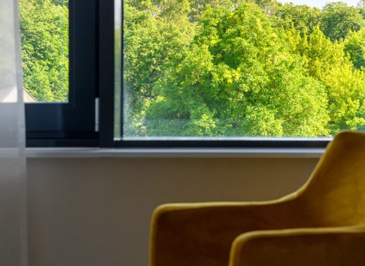 Bujna zieleń za oknem sprzyja odprężeniu