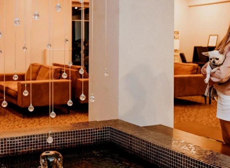 Dosłońce to hotel przyjazny zwierzętom
