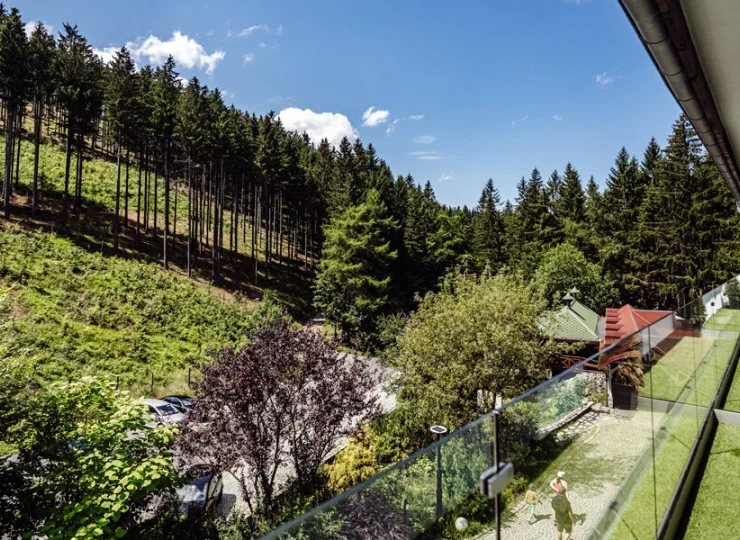 Balkony z widokiem na las