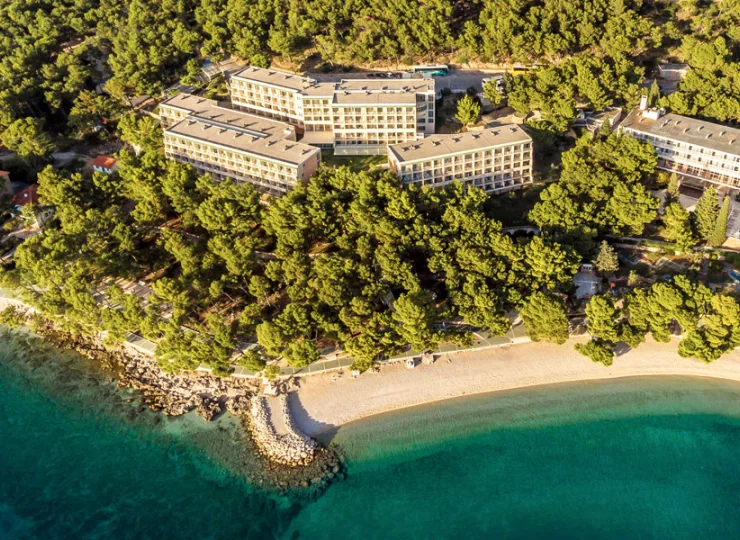 Teren hotelu otacza bujny sosnowy las