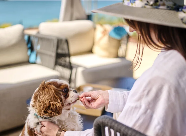 Do obiektu można przyjechać z czworonożnym pupilem