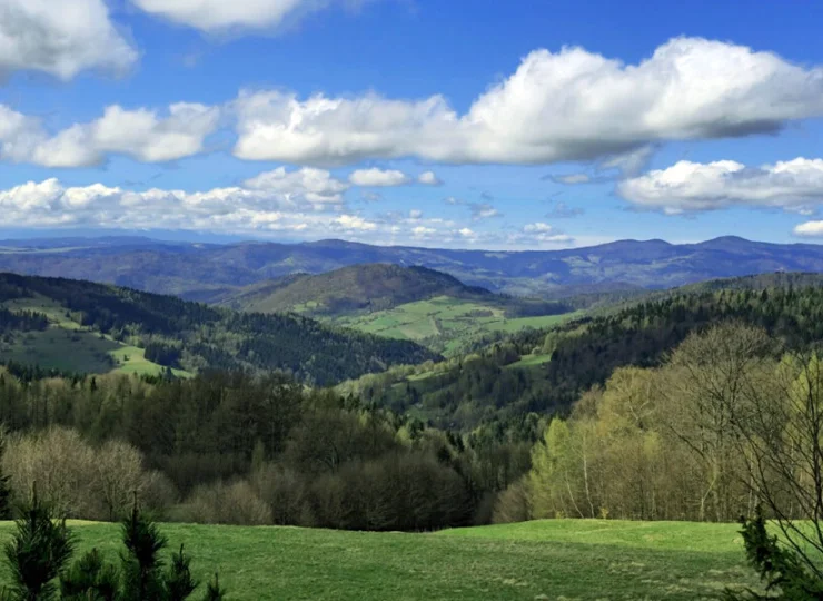 Podczas jazdy ucieszą Was cudowne widoki, panorama Tatr, a często owce na halach