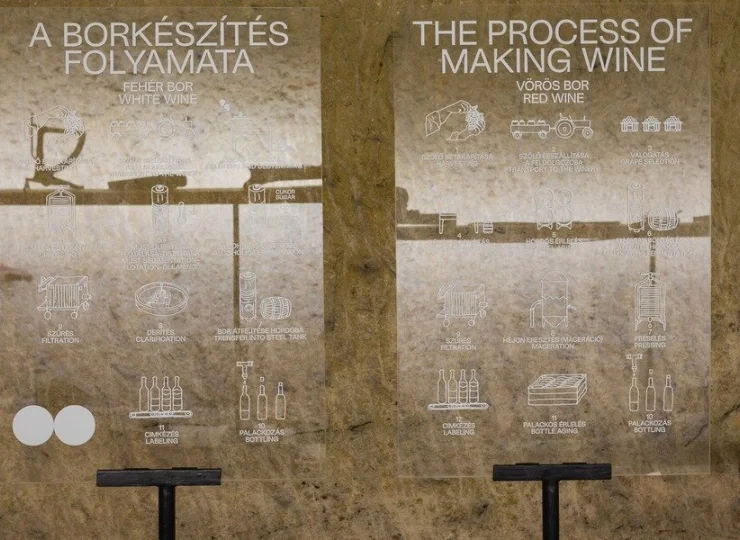 Po Muzeum Wina oprowadza przewodnik