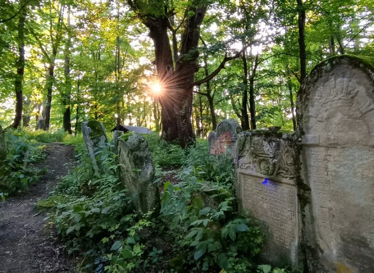 Kirkut w Lesku z nagrobkiem z XVI w.