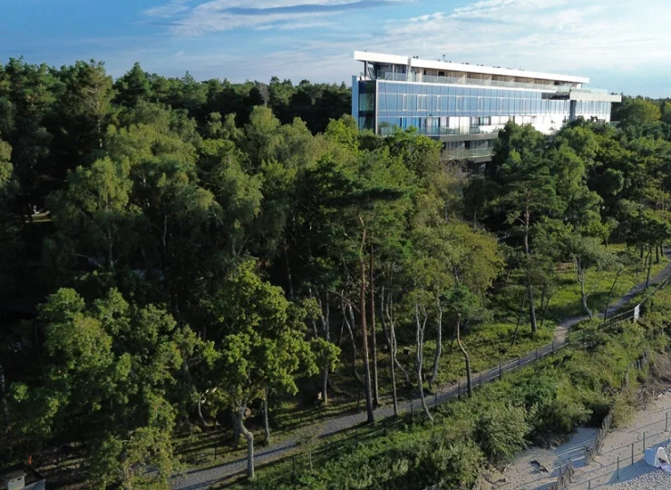 Wystarczy przejść pomiędzy sosnami, by wyjść na nadbałtycką plażę