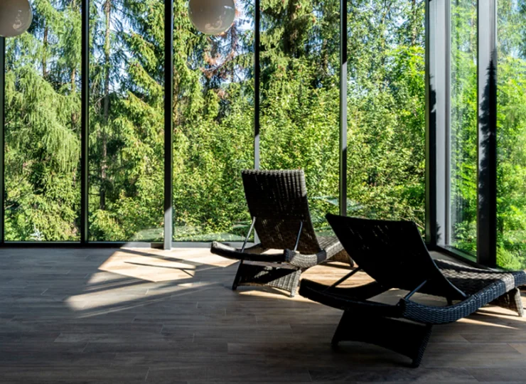 Strefa relaksu z widokiem na ścianę lasu