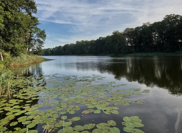 Brzegi jeziora są idealnym miejscem na spacery i aktywny relaks