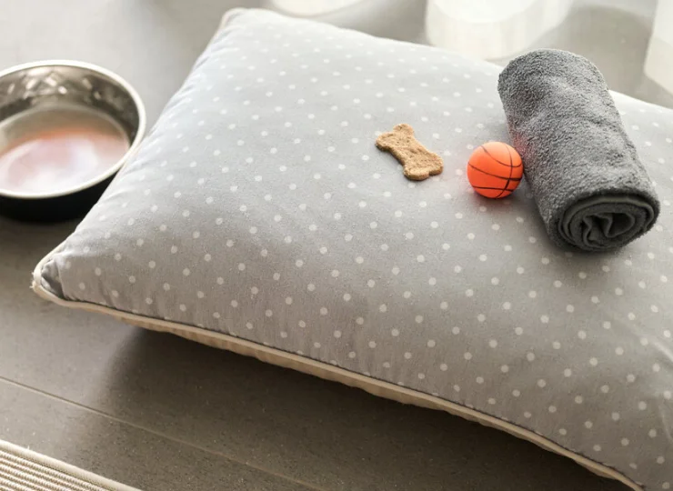 Aminess Younique Vollo Residence to apartamenty przyjazne zwierzętom