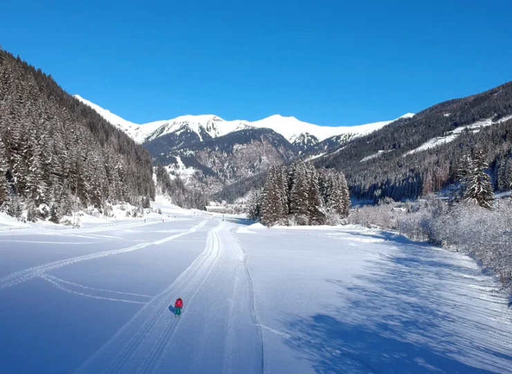 . Tuż obok hotelu przebiega doskonale utrzymana trasa narciarstwa biegowego