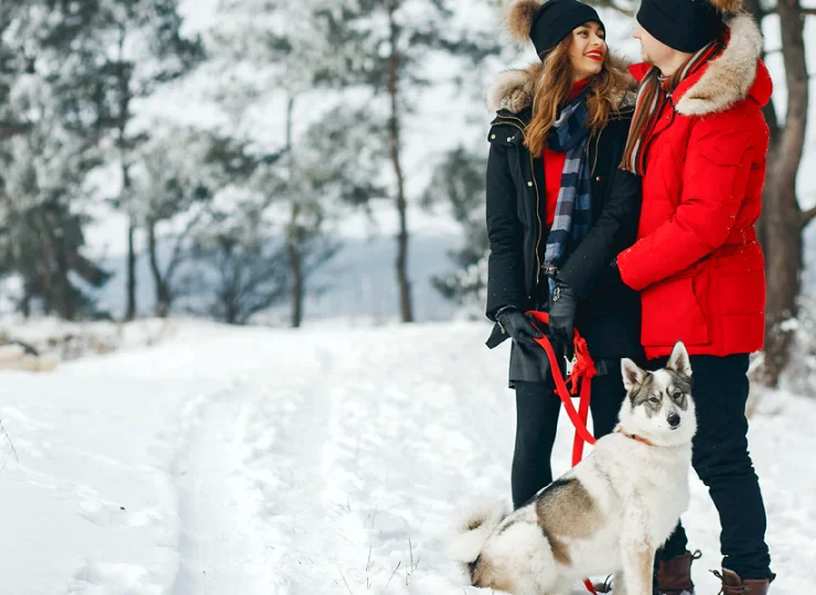 To świetne miejsce na zimowe spacery