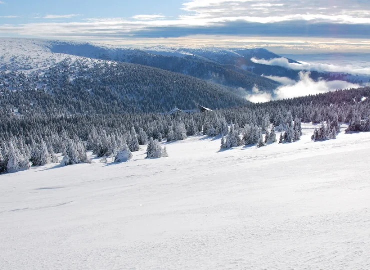 Zimowy krajobraz Jesioników