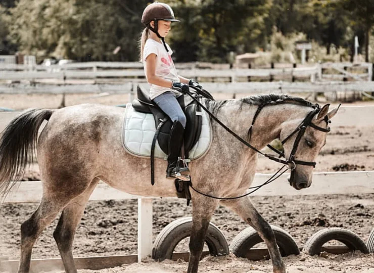W Wierzbowym Ranczo można skorzystać z lekcji jazdy konnej