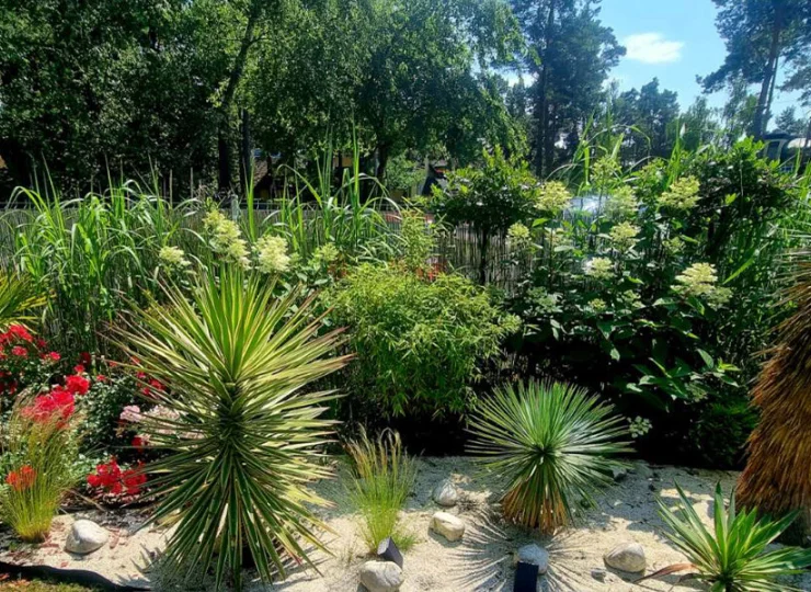 W zadbanym ogrodzie rosną różnorodne rośliny