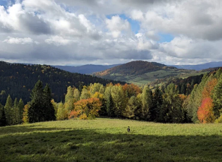 Wypocznij w lesie - na górskich szlakach i w hotelowej strefie wellness