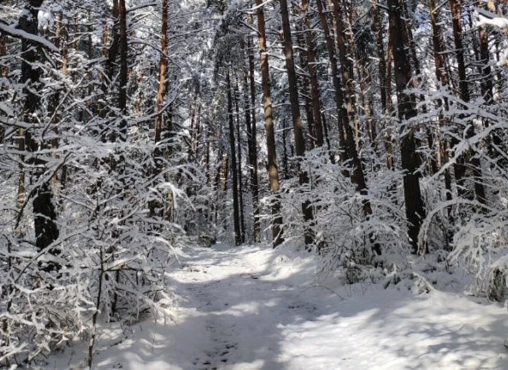 Jura Krakowsko-Częstochowska zachęca do aktywności w każdej porze roku