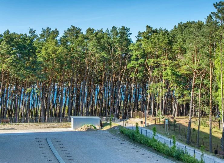 Apartamenty są położone blisko morza