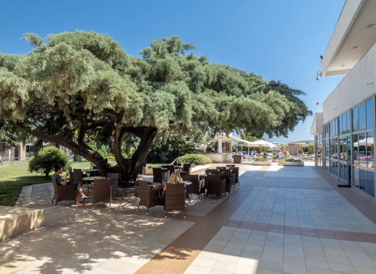 Resort mieści się w otoczeniu bujnych ogrodów kurortu Becici