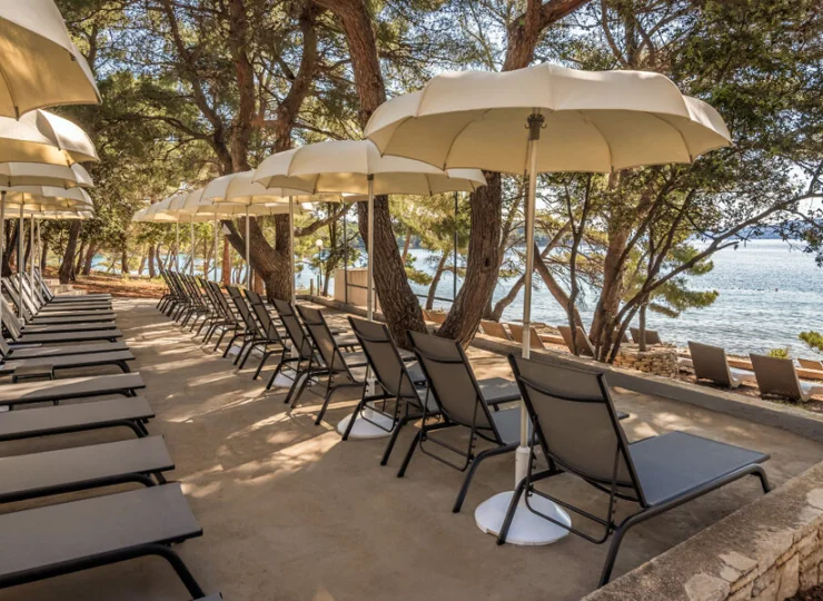 Taras z leżakami w sosnowym lesie na wyspie Hvar