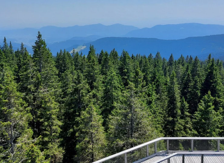 Panorama gór Pohorje ze ścieżki w koronach drzew