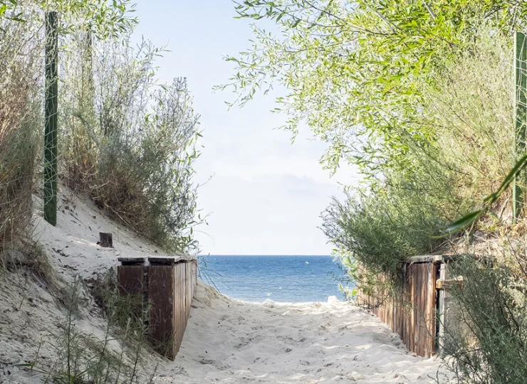 Na plażę wiedzie przyjemna ścieżka przez nadmorski las