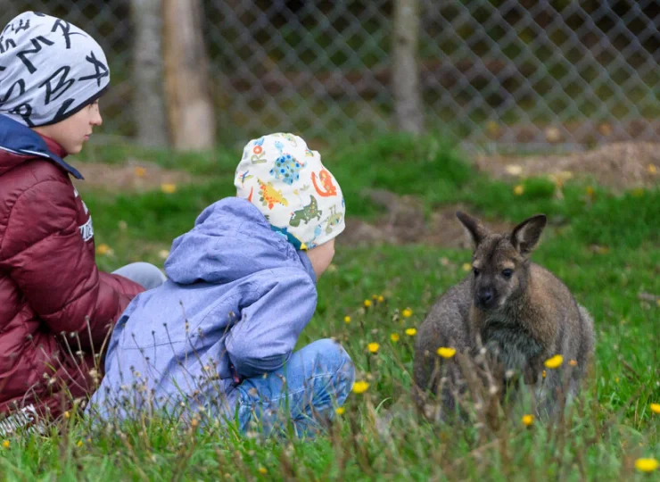 Farma ze zwierzętami to duża atrakcja dla dzieci