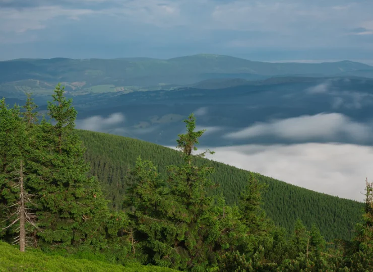 Widok z pobliskiego szczytu Serak w paśmie Wysokiego Jesionika