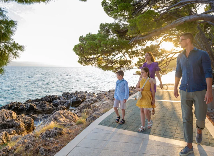 Przez sosnowy las poprowadzono alejki spacerowe i rowerowe