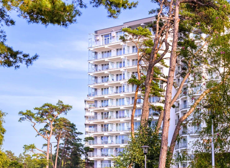 Wokół Porta Mare rosną nadmorskie sosny