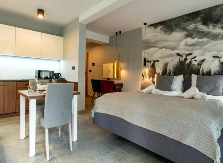 Apartament 1B to funkcjonalny apartament typu studio znajdujący się na parterze