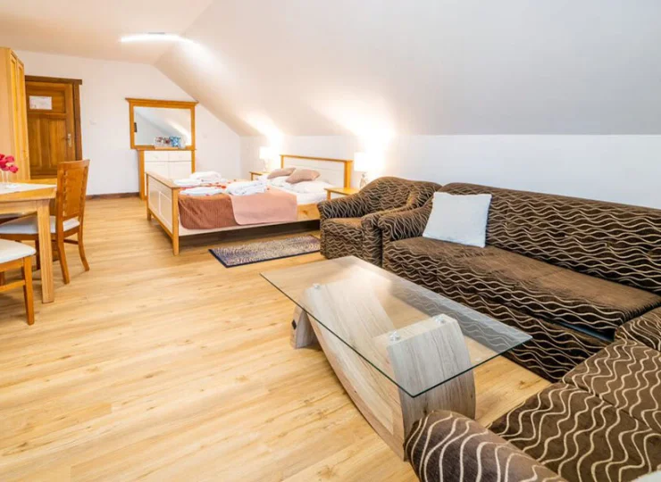 Apartament to studio z częścią dzienną, sypialną i aneksem kuchennym