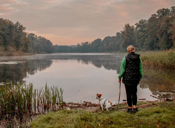 W pałacowym parku jest malowniczy staw
