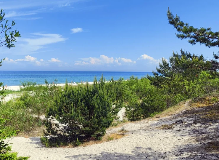 Hotel znajduje się blisko pięknej plaży