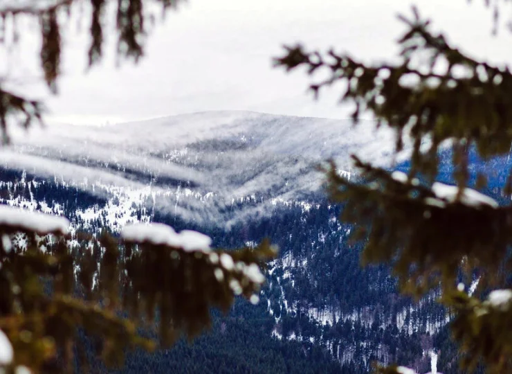 Widok na Biskupią Kopę z kamienną wieżą widokową