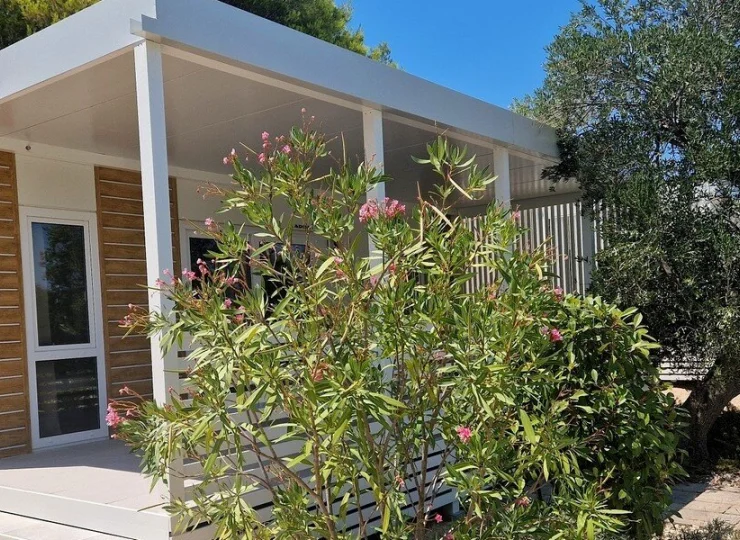 Domki są otoczone zielenią