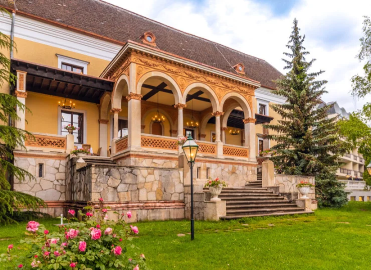 Hotel jest otoczony zielenią