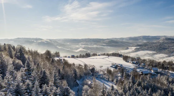 Hotel Country Club Żywiec & Domki