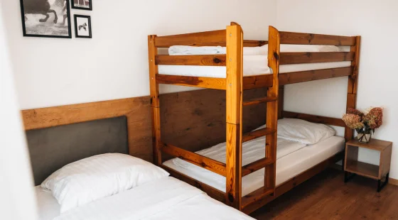 Apartament Superior 5-os.