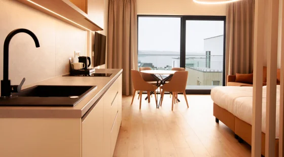 Apartament typu studio lake view