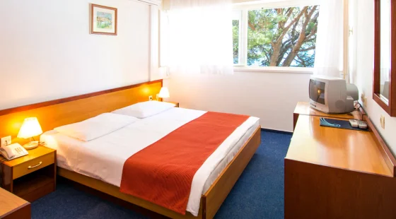 Pokój 2-os. standard double