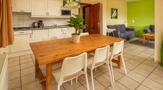 Comfort Plus Apartment 2+6