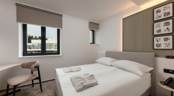 Pokój 2-os. Standard park view