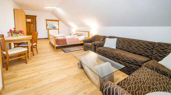 Pokój 2+2 typu apartament