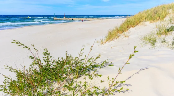 Ośrodek Wypoczynkowo-Leczniczy Opole