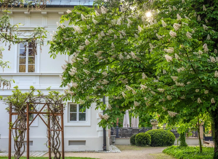 Hotel jest przyjazny rodzinie, można tutaj przyjechać też z psem