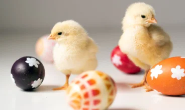 Aparthotel Landrynka zaprasza na pełną atrakcji Wielkanoc nad morzem