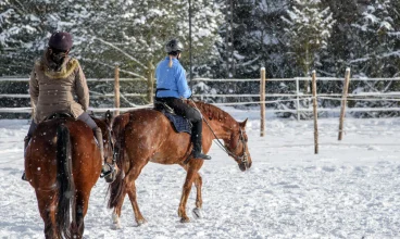 W Wierzbowym Ranczo można skorzystać z lekcji jazdy konnej